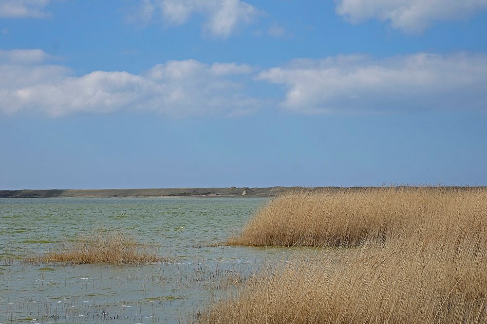 Am Ferring Sø in Midtjylland (DK) bei Strande