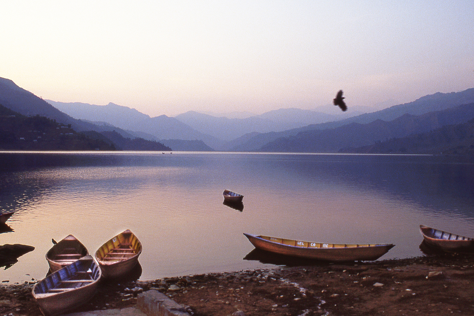 Am Fewa See frühmorgens