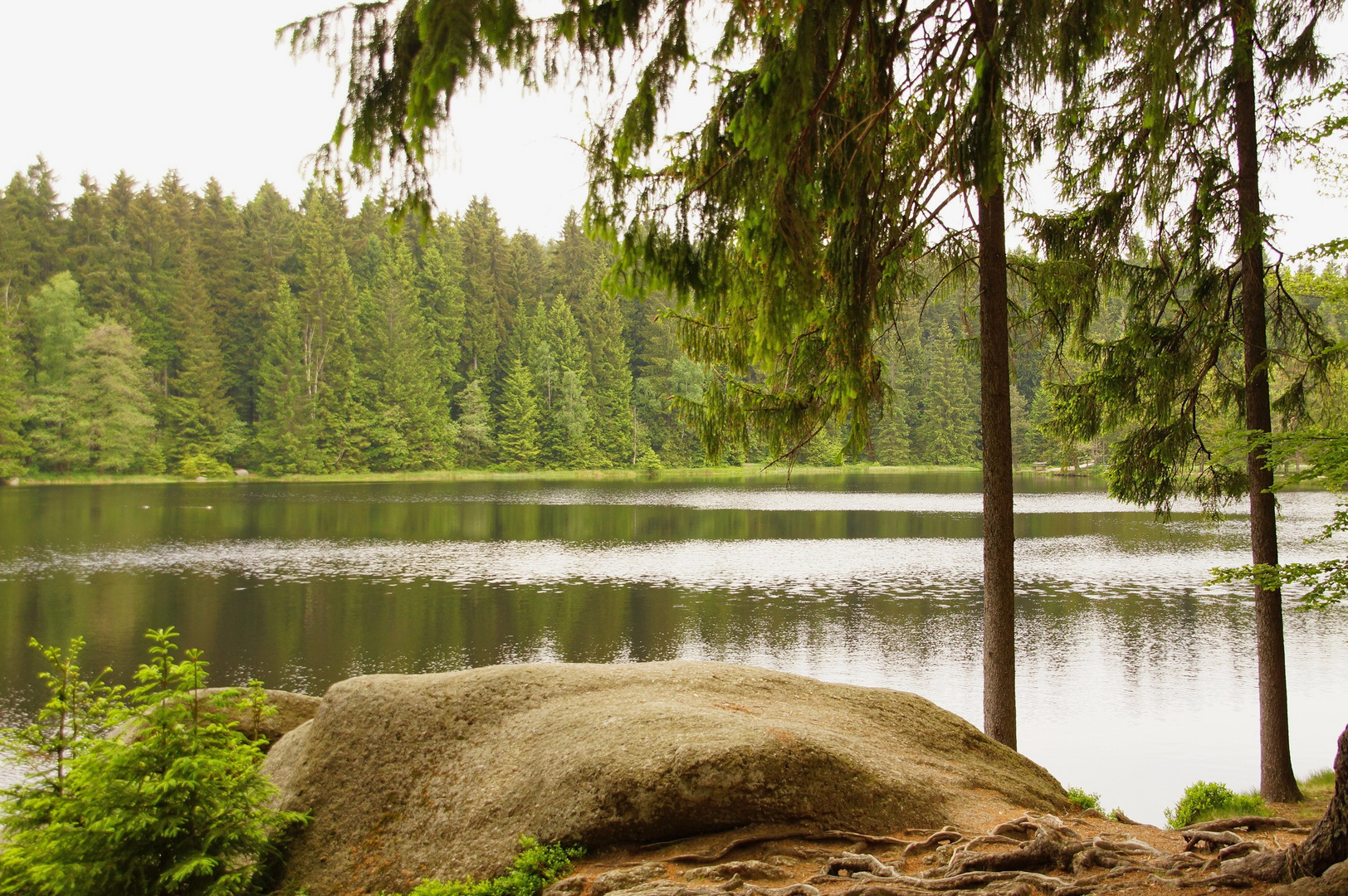 Am Fichtelsee in Oberfranken (Fichtelgebirge)