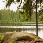 Am Fichtelsee in Oberfranken (Fichtelgebirge)