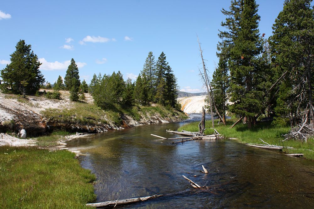 Am Firehole River in der Nähe der Yellowstone Lodge...