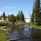 Am Firehole River in der Nähe der Yellowstone Lodge...