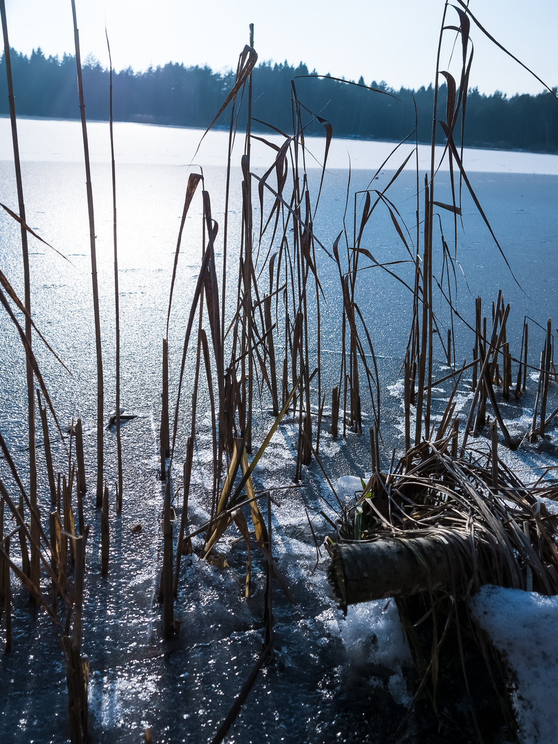 Am Fischersee