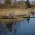 Am Fischersee in Schwarzach