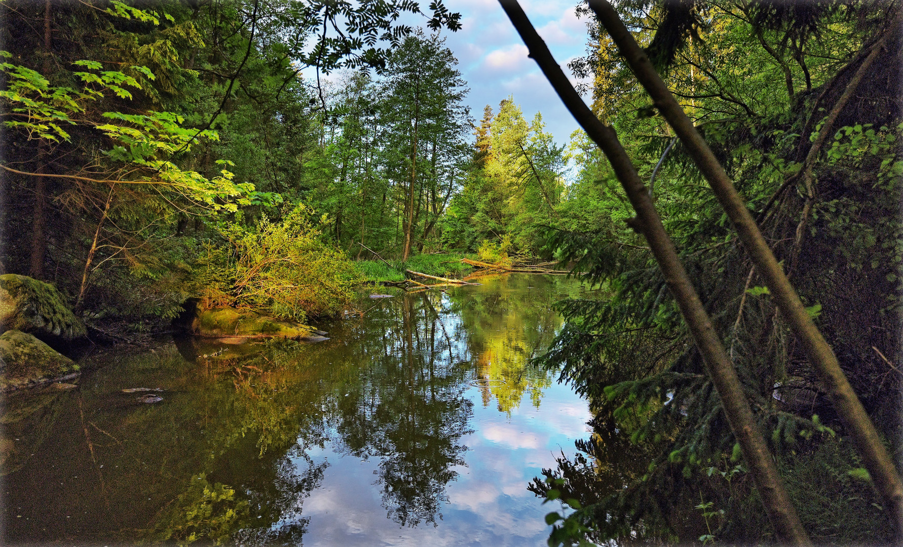 am Fischersteig bei Hoheneich im Waldviertel