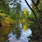 am Fischersteig bei Hoheneich im Waldviertel