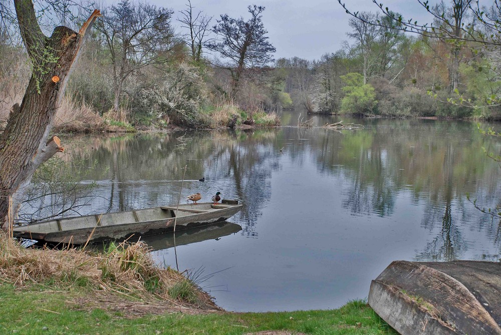 Am "Fischmahl" im April