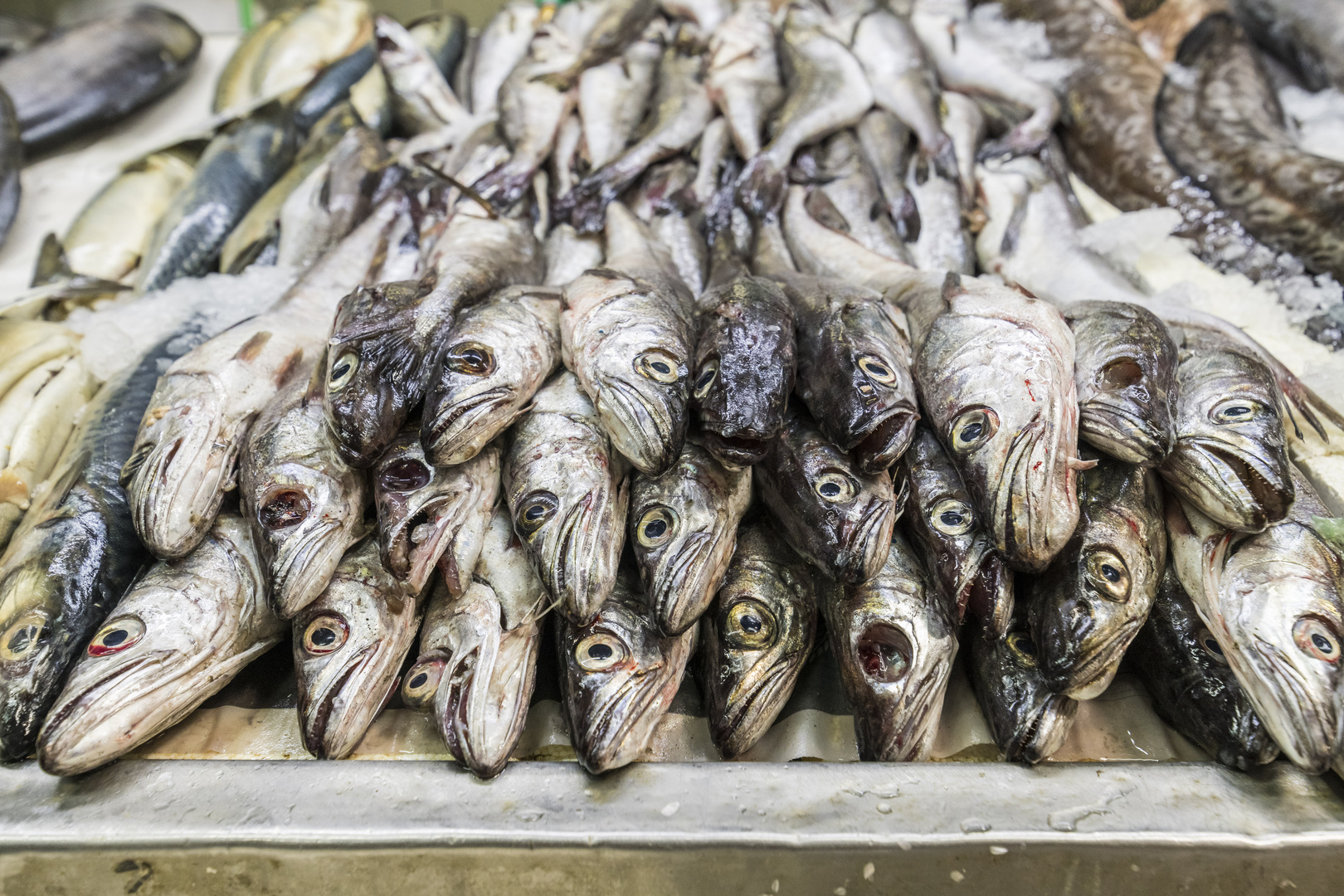 am Fischmarkt