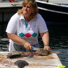 Am Fischmarkt