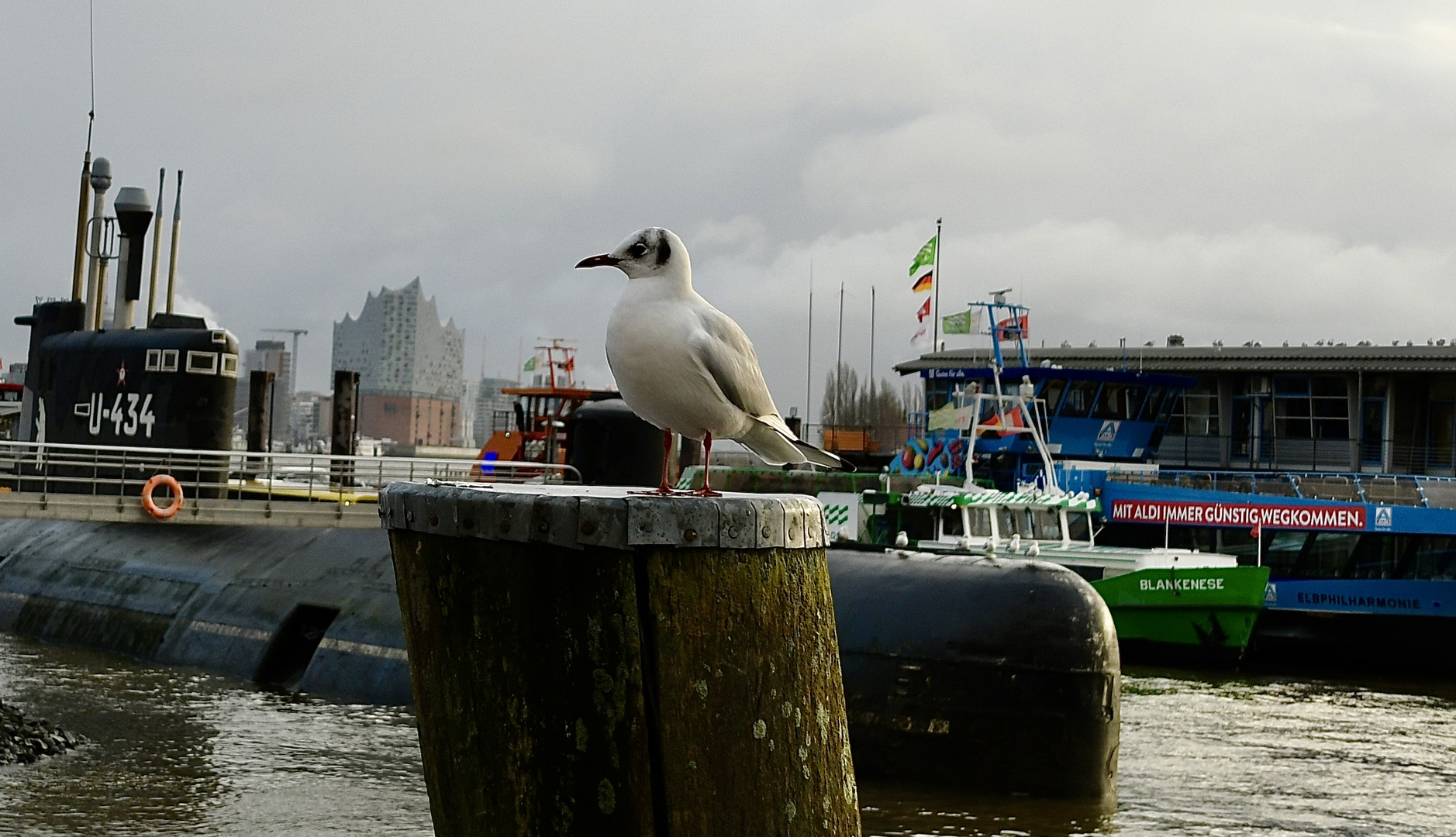 Am Fischmarkt 