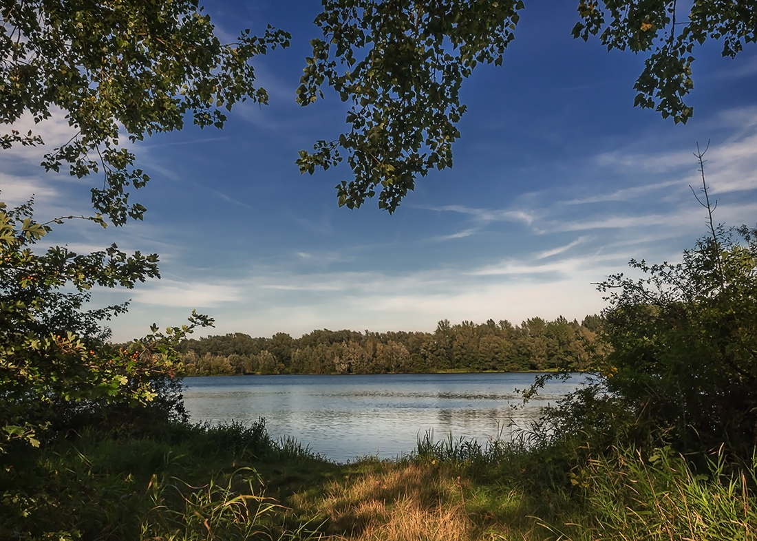 Am Fischteich 3