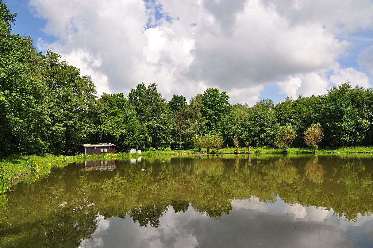 Am Fischteich Foto & Bild landschaft, naturpanorama, projekte Bilder