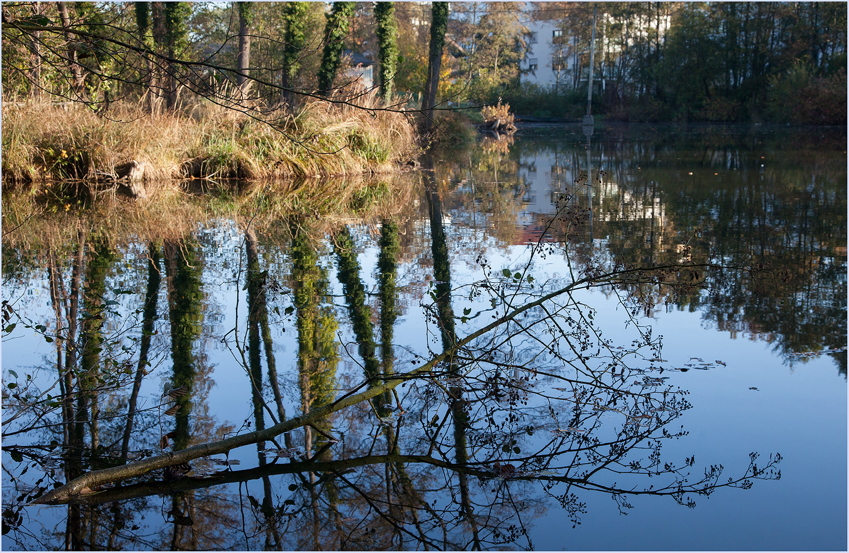 Am Fischteich