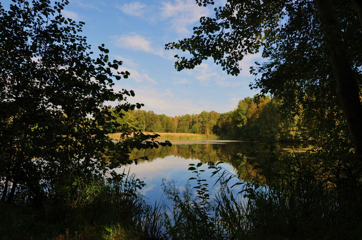 Am Fischteich