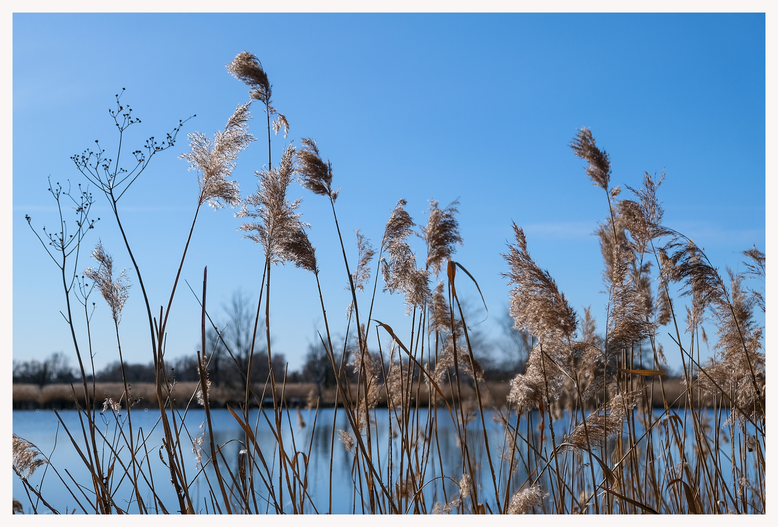 Am Fischteich