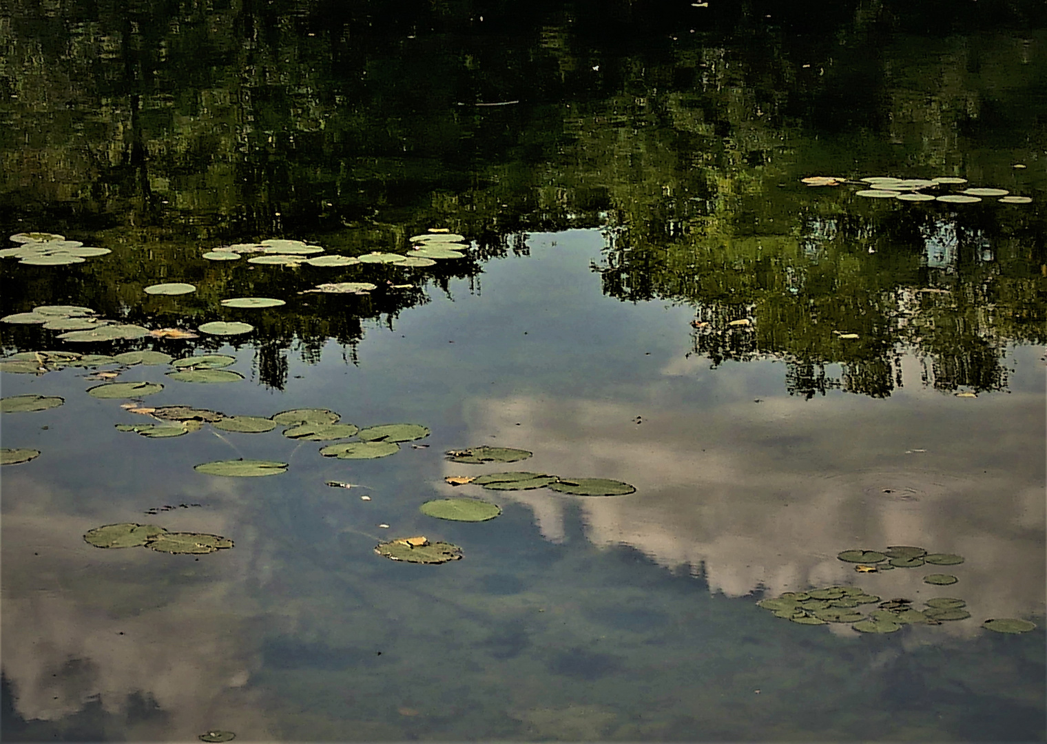 Am Fischteich