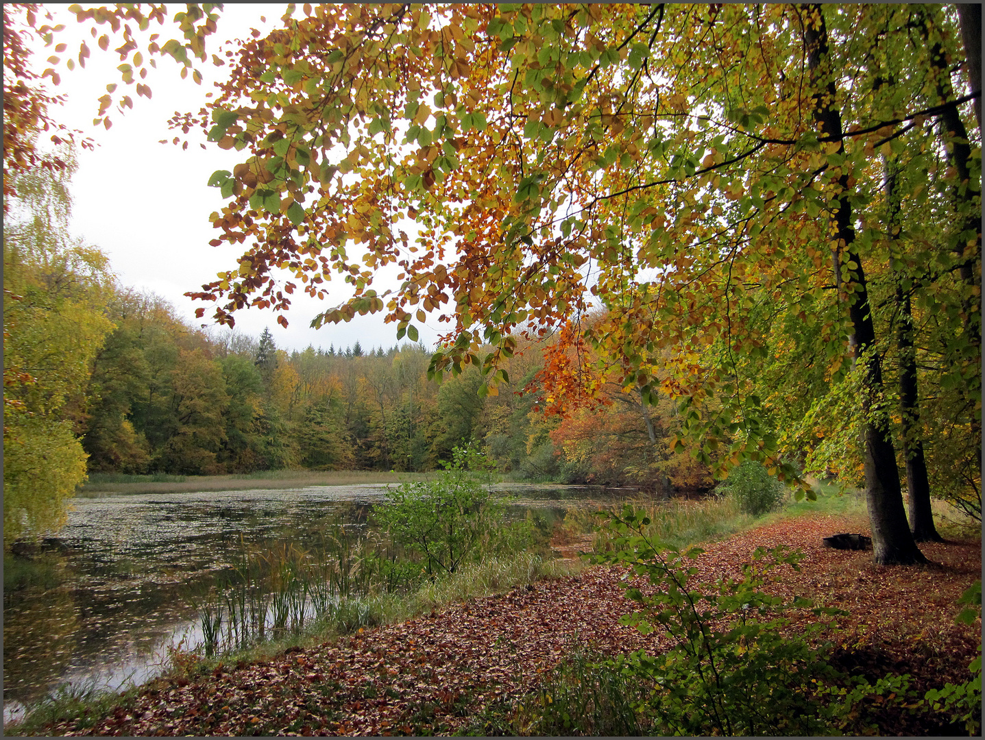 Am Fischteich