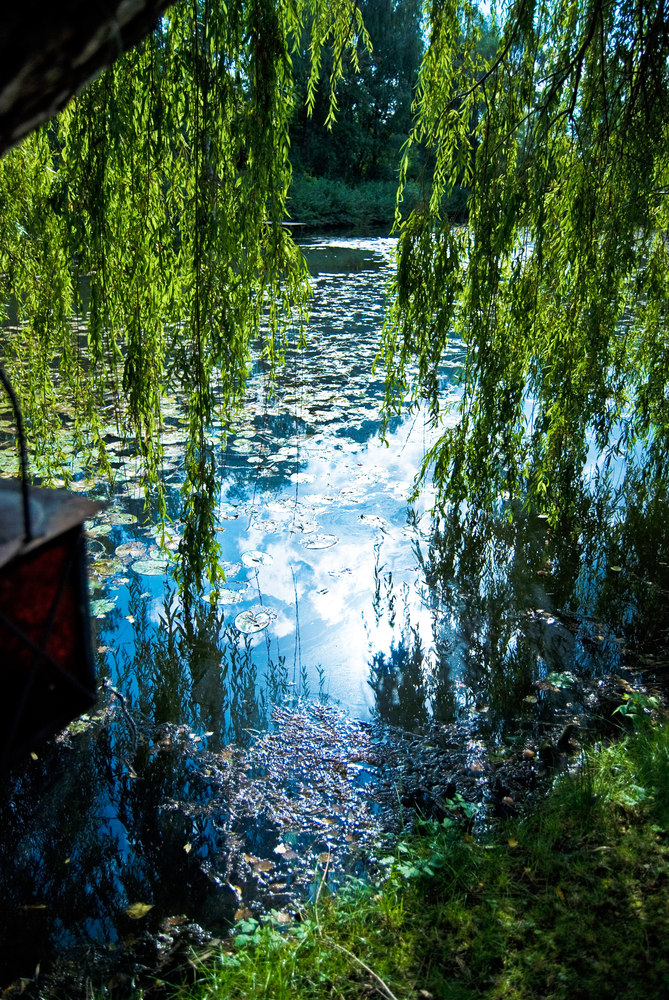 +++ am fischteich +++