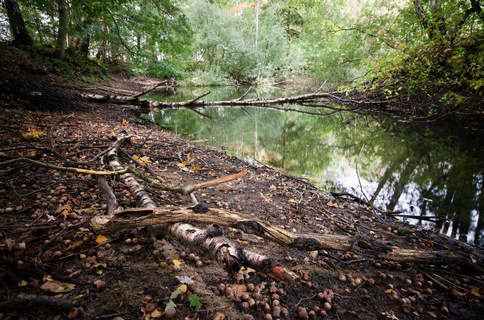 am Fischteich