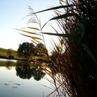 Am Fischweiher