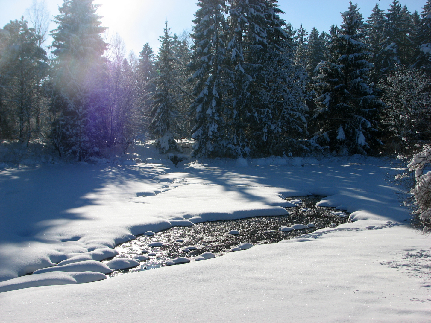 Am Fischweiher....