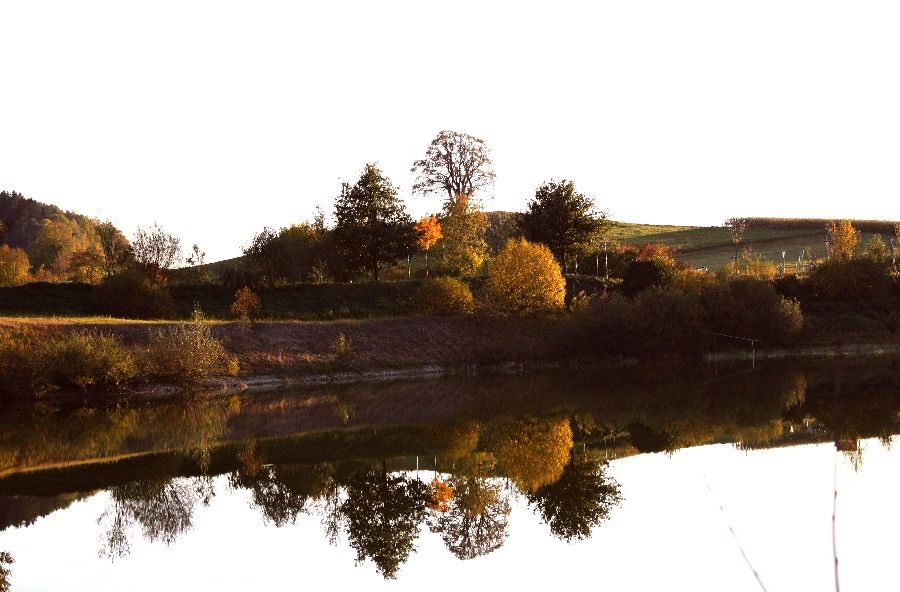 Am Fischweiher