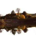 Am Fischweiher