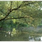 Am Fischweiher