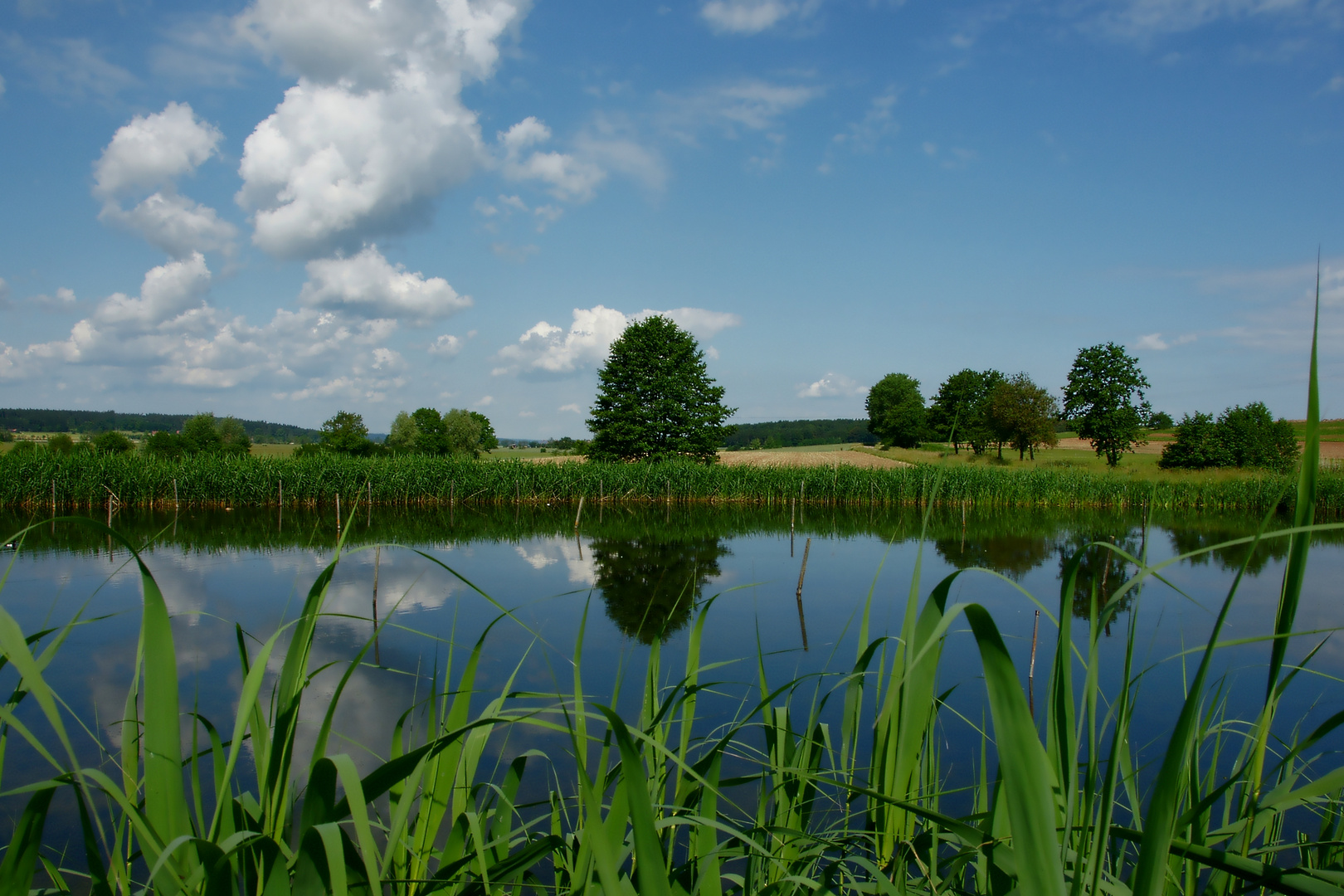 Am Fischweiher