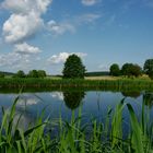 Am Fischweiher