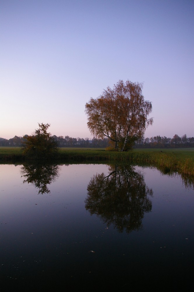 Am Fischweiher II