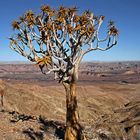 Am Fish River Canyon