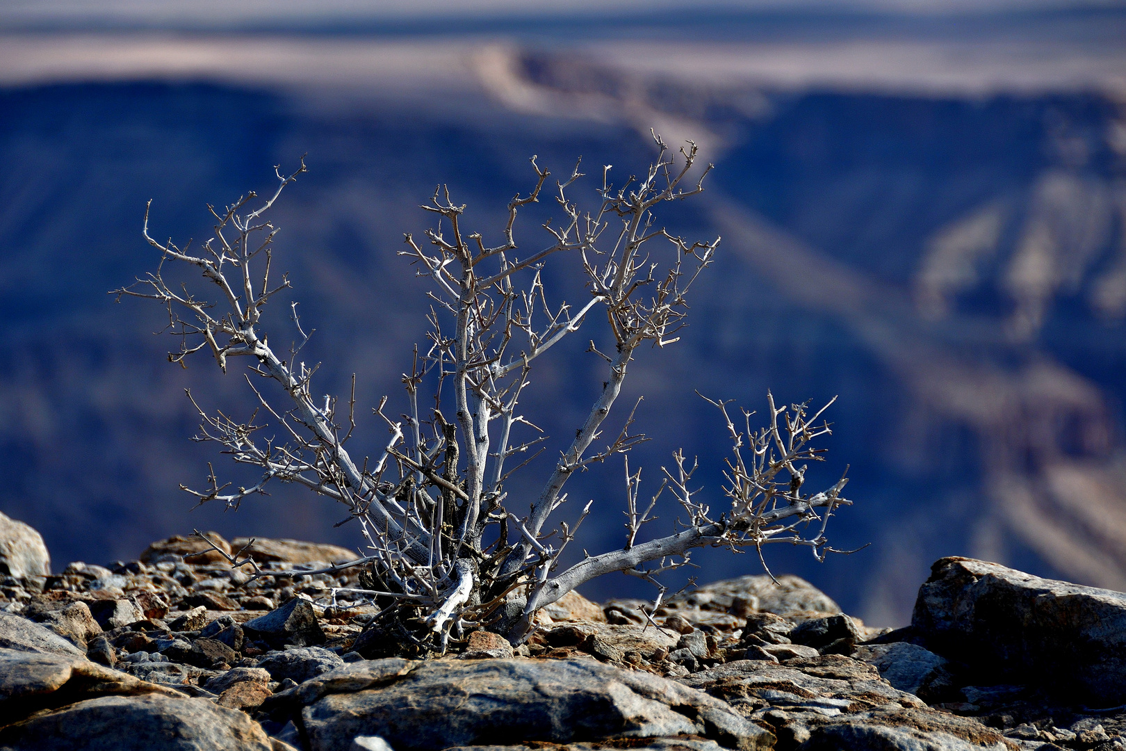 am Fish River Canyon