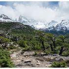 am Fitz Roy - Chile/Argentinien