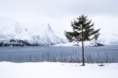 Am Fjord