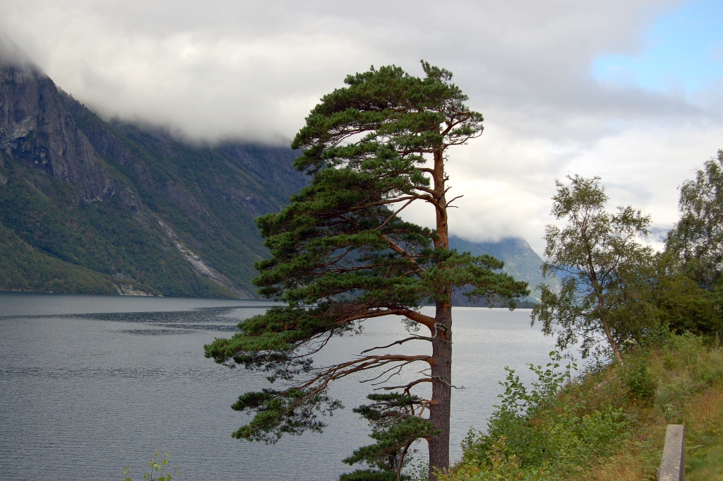 am Fjord