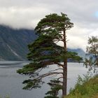 am Fjord