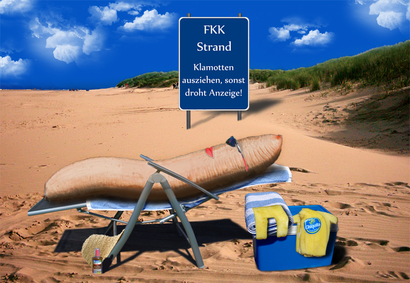 Am FKK Strand Foto &amp; Bild quatsch &amp; fun, fotomontage, beach Bilder