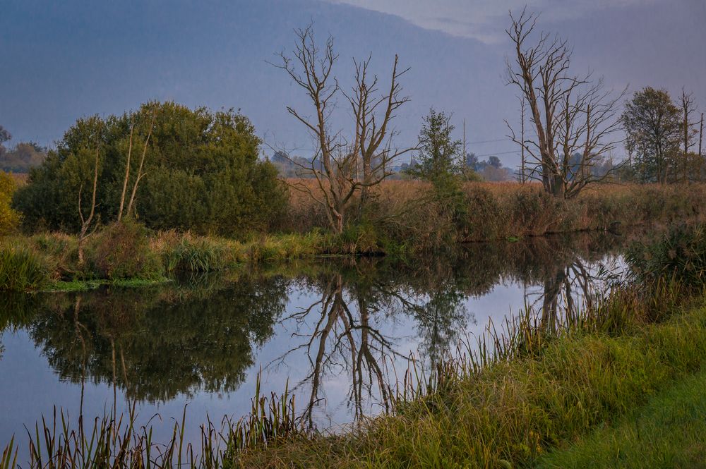 am Fließ entlang - Spreewald