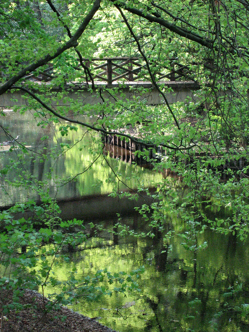 am Fließ im Frühling III