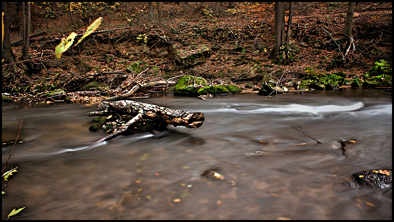 Am Fluss