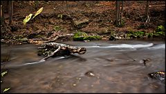 Am Fluss