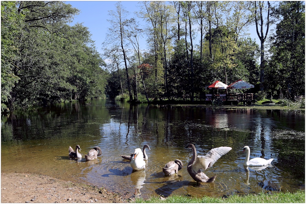 Am Fluß Babiecka Struga