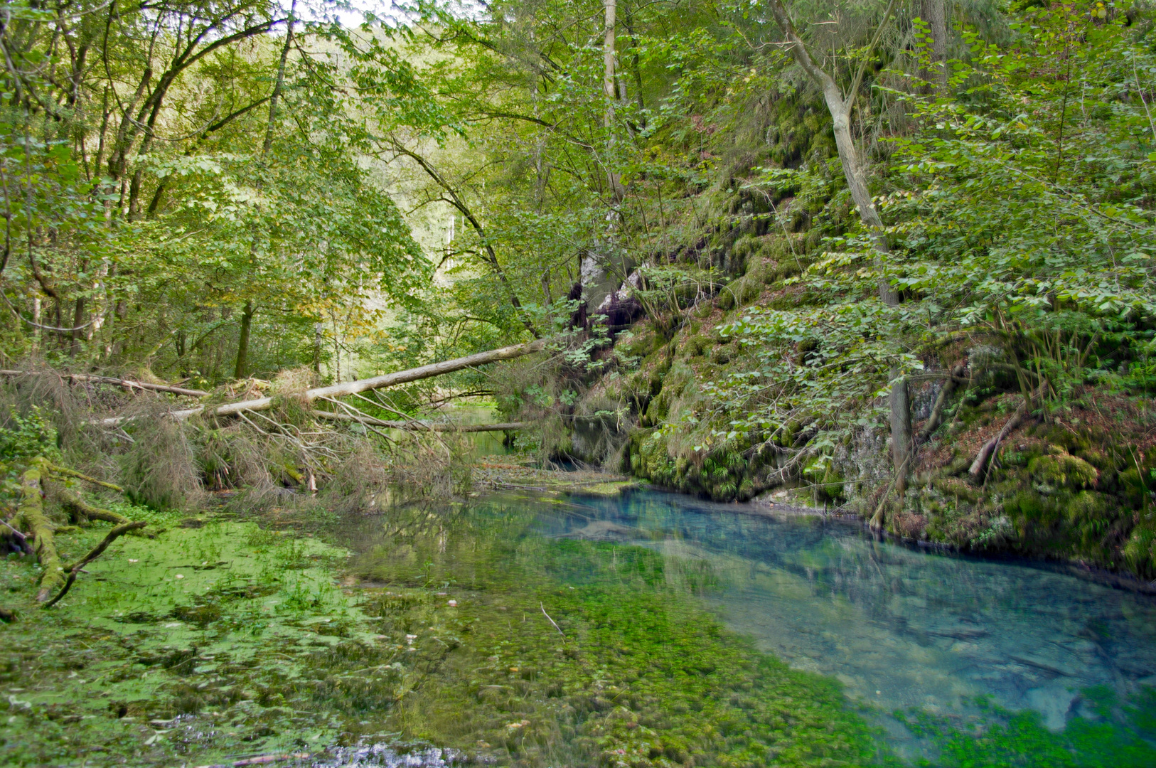 Am Fluß Blau B.W.