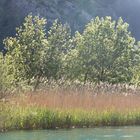 Am Fluss Cetina 