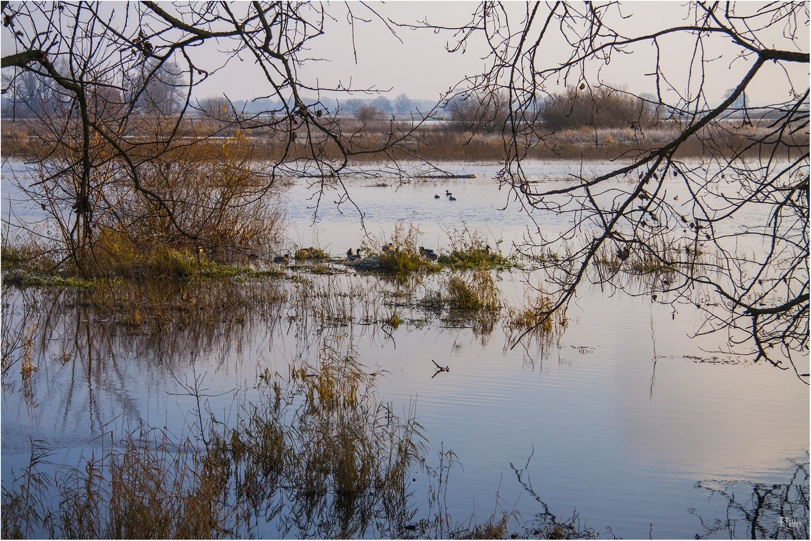 am Fluss.