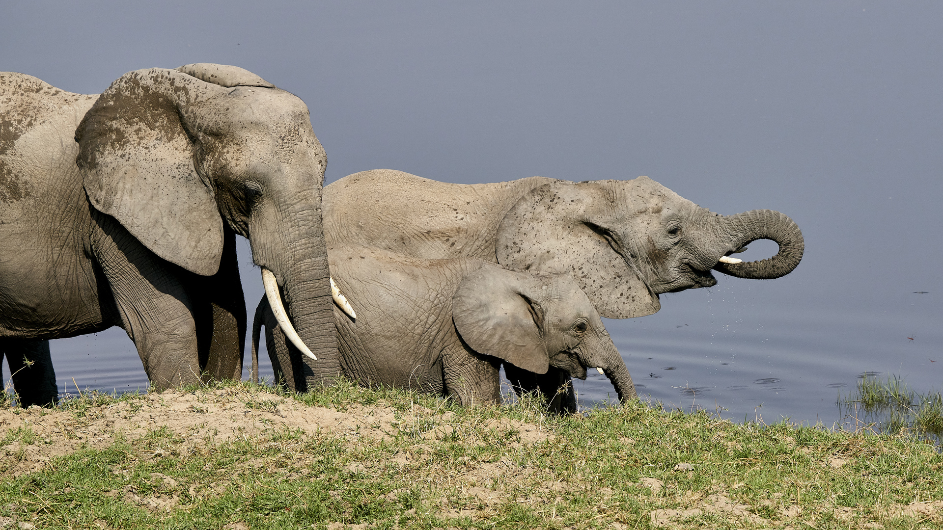  Am Fluß im Ruaha NP