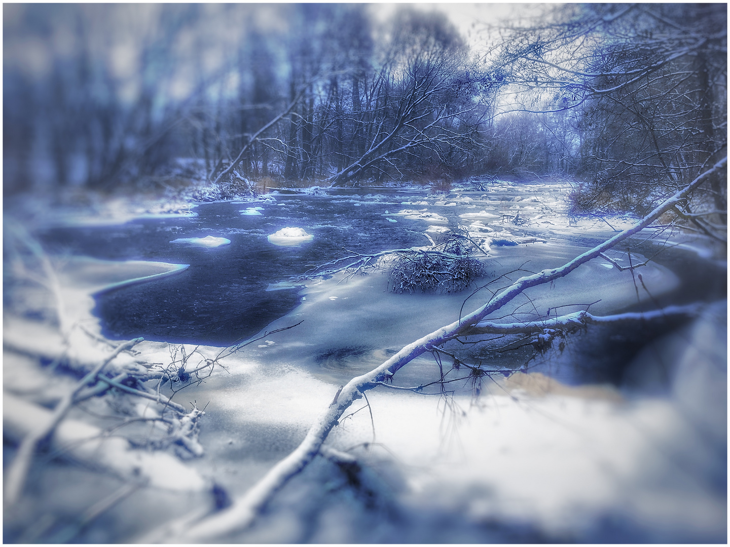 Am Fluss im Winter