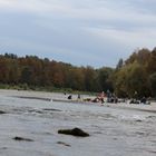 Am Fluss Isar in München