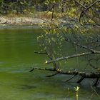 ...am Fluss, Schwarza, Höllental, N.Ö.